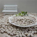 NEW CROP SMALL white kidney beans Long Shape